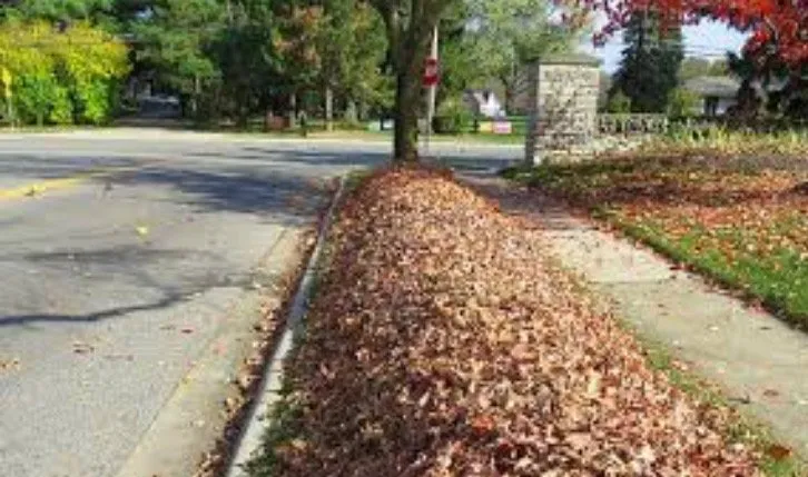 Top-rated residential landscaping in Andover, MA - Currivan Green