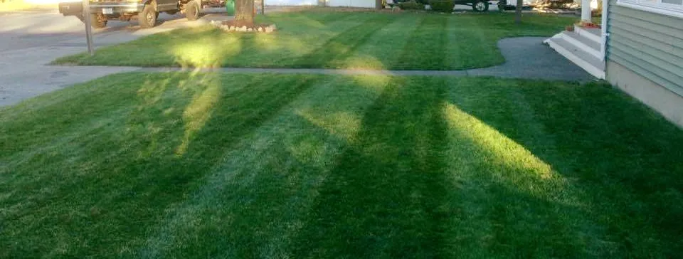 Top-rated yard cleanup service for homes across Andover, MA - Currivan Green