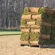 Affordable landscape installation for beautiful yards in Andover, MA by Currivan Green