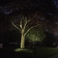 Local garden landscaping experts serving Andover, MA - Currivan Green