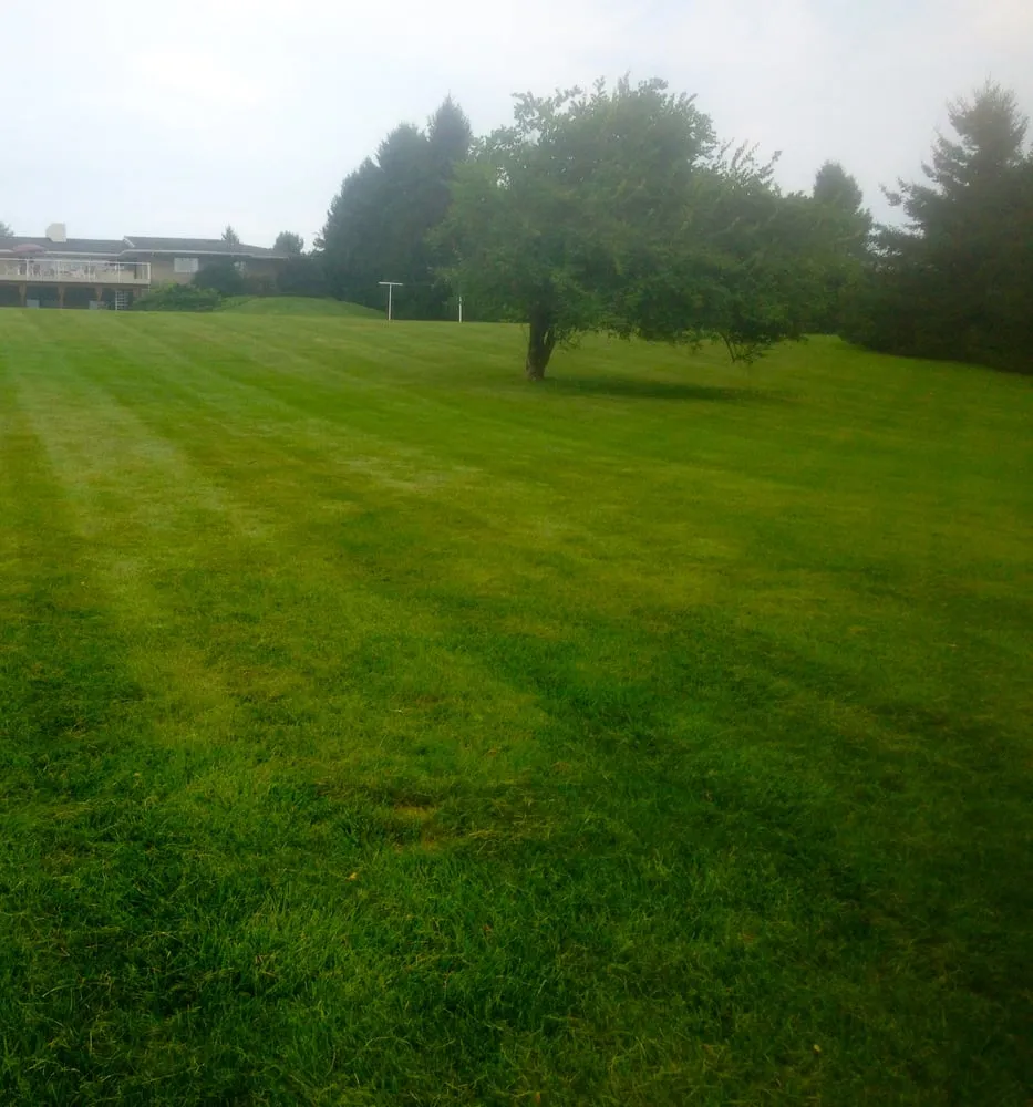 Reliable yard cleanup service for residential properties in Allentown, PA by Curry Lawn Care