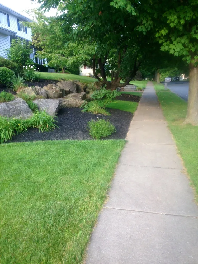 Trusted yard cleanup service in Allentown, PA by Curry Lawn Care