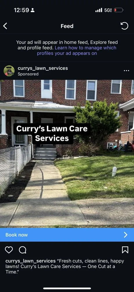 Reliable lawn mowing service for beautiful yards in Baltimore, MD by Currys Lawn Care Services