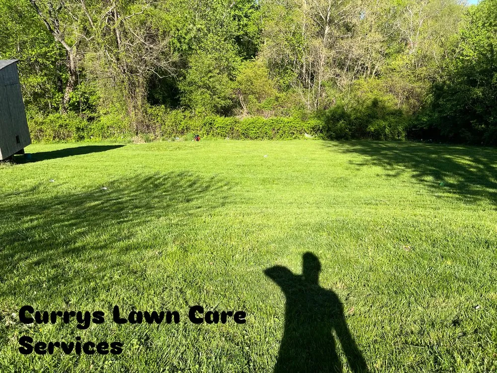 Reliable landscape installation experts serving Baltimore, MD - Currys Lawn Care Services