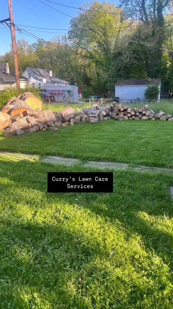 Affordable yard cleanup service in Baltimore, MD by Currys Lawn Care Services