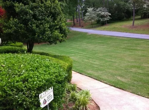 Expert residential landscaping experts serving Athens, GA - Curry's Lawn Service