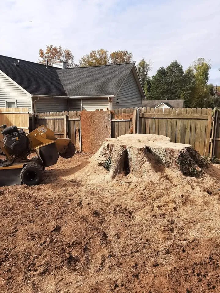 Affordable yard cleanup service for residential properties in Thomasville, NC by Curry's Stump Removal