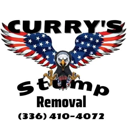 Expert landscape design with custom design in Thomasville, NC by Curry's Stump Removal