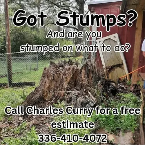 Custom lawn mowing service in Thomasville, NC - Curry's Stump Removal