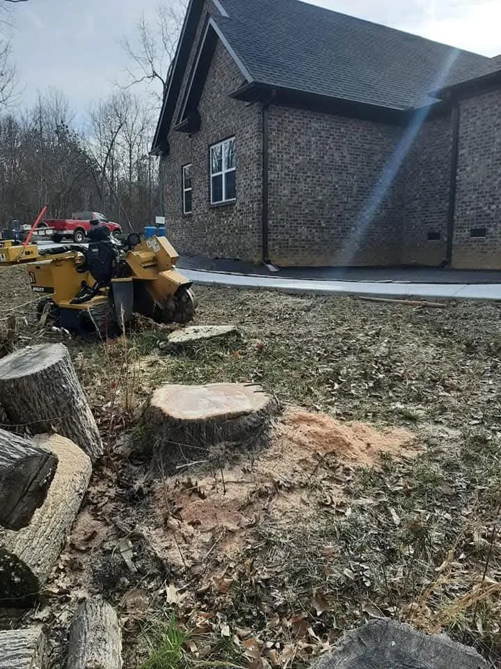 Trusted lawn care service in Thomasville, NC - Curry's Stump Removal