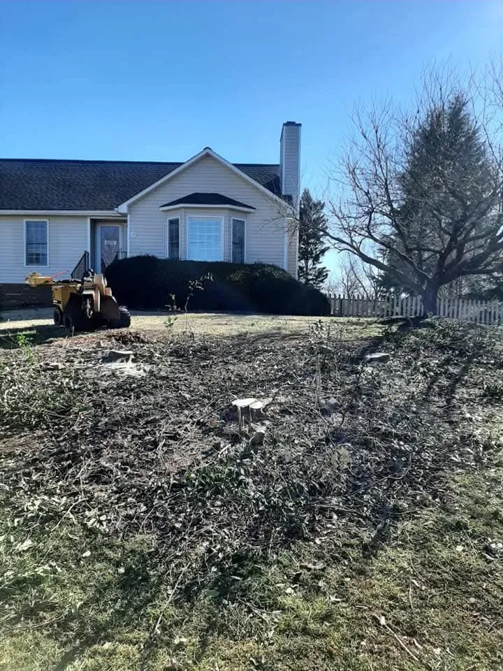 Reliable landscape design near you in Thomasville, NC by Curry's Stump Removal