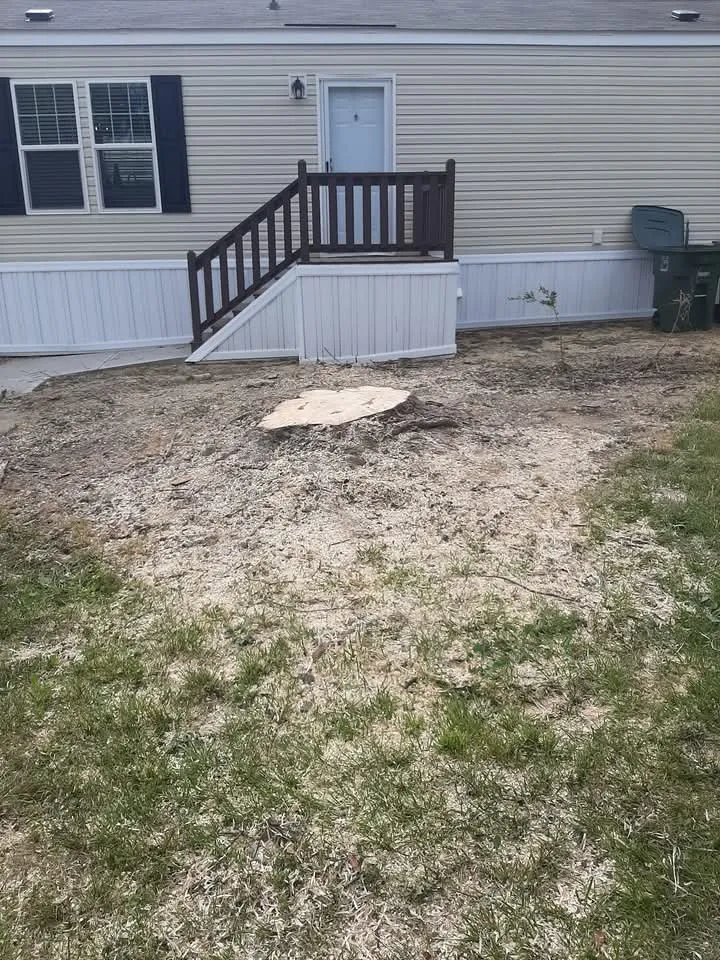 Trusted landscape design for year-round maintenance in Thomasville, NC by Curry's Stump Removal