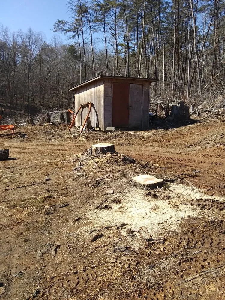 Professional residential landscaping near you in Thomasville, NC by Curry's Stump Removal