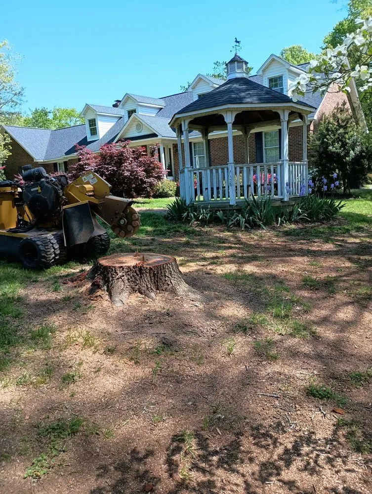 Affordable lawn mowing service for beautiful yards in Thomasville, NC by Curry's Stump Removal