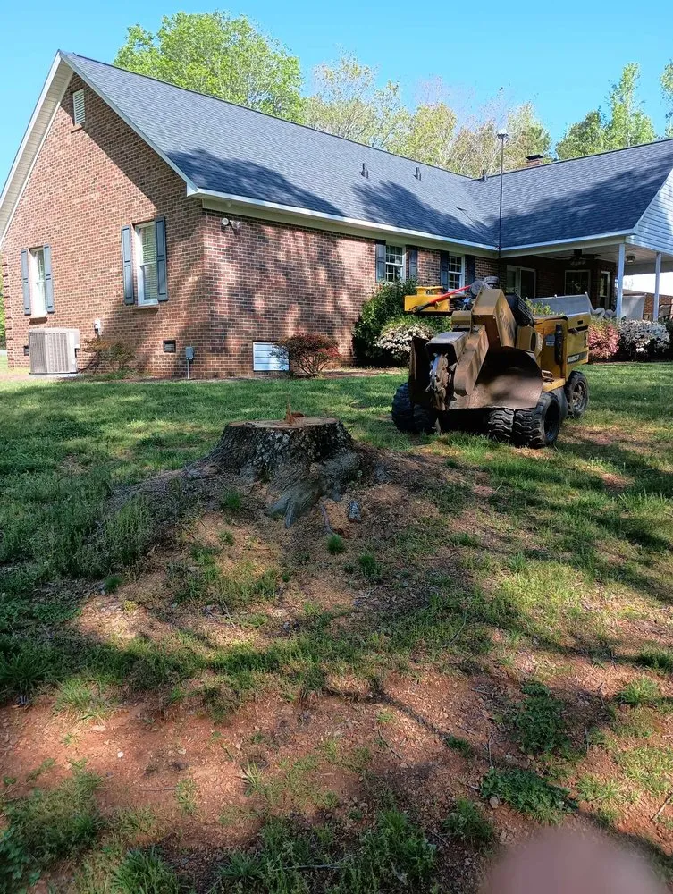 Top-rated residential landscaping experts serving Thomasville, NC - Curry's Stump Removal