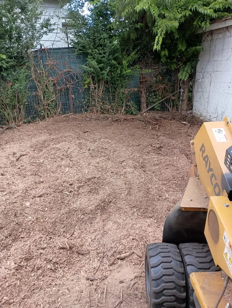 Custom yard cleanup service for year-round maintenance across Thomasville, NC - Curry's Stump Removal