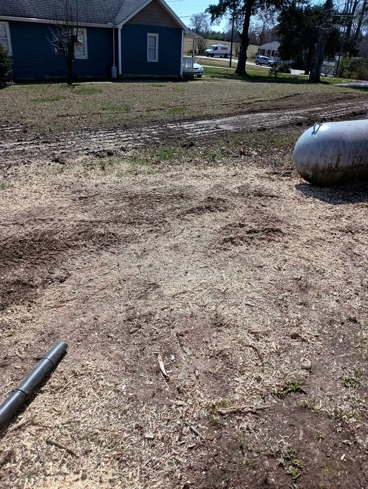 Trusted outdoor landscaping in Thomasville, NC - Curry's Stump Removal