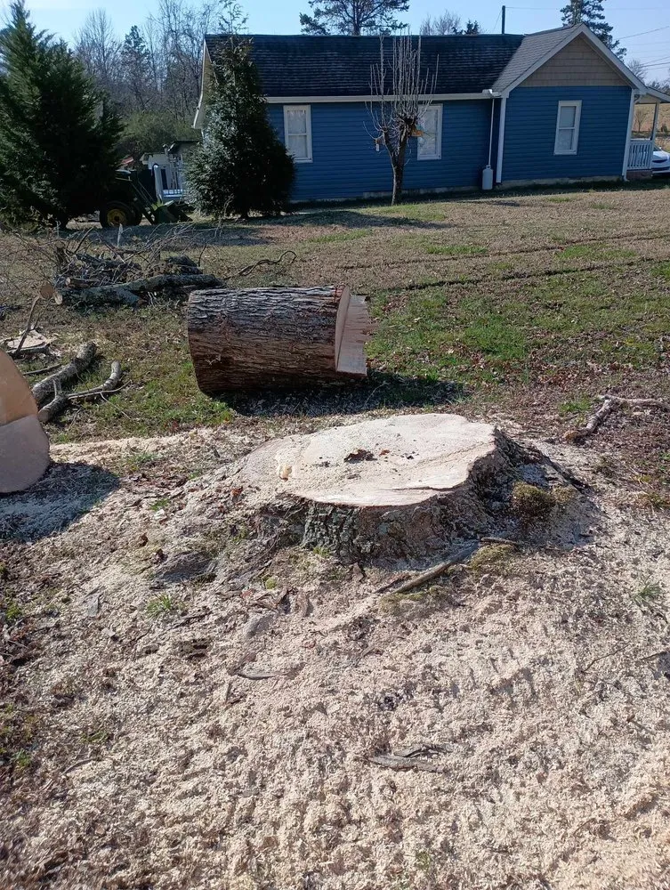 Professional yard cleanup service in Thomasville, NC - Curry's Stump Removal