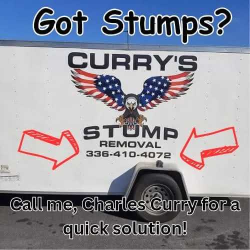 Top-rated outdoor landscaping for outdoor upgrades across Thomasville, NC - Curry's Stump Removal