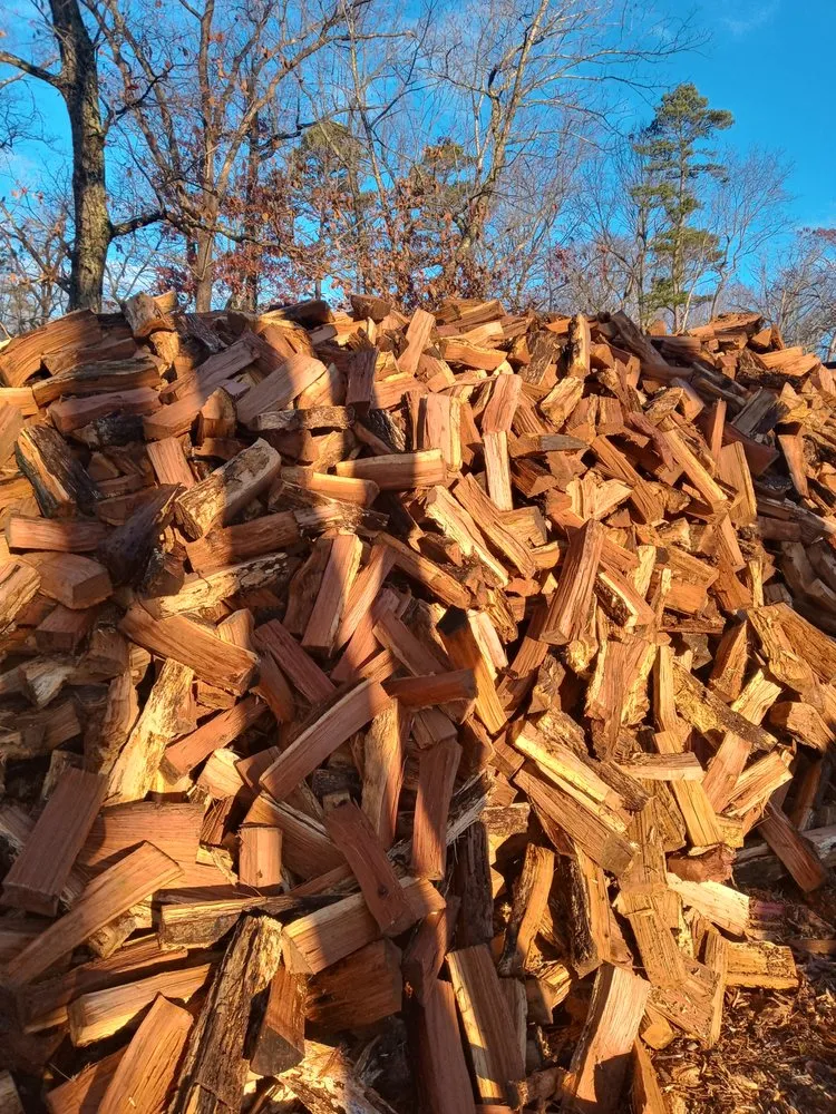 Top-rated lawn care service for residential properties across Barnegat, NJ - Curtis Bivins Pro Services