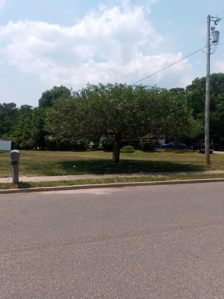 Expert landscaping services experts serving Barnegat, NJ - Curtis Bivins Pro Services