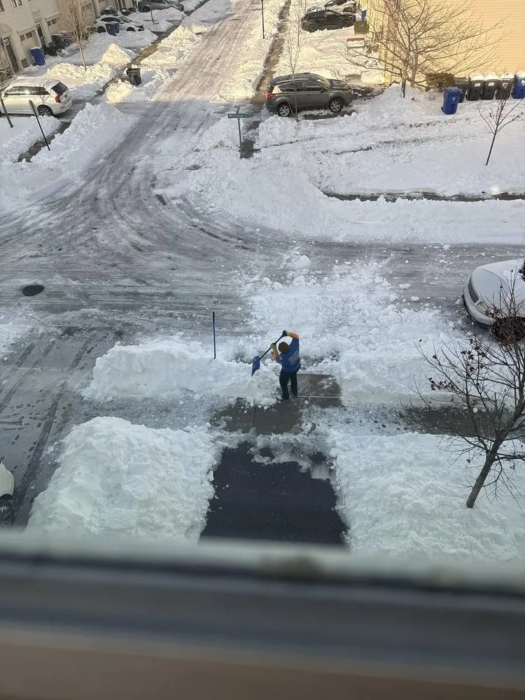 Affordable lawn care service near you in Barnegat, NJ by Curtis Bivins Pro Services