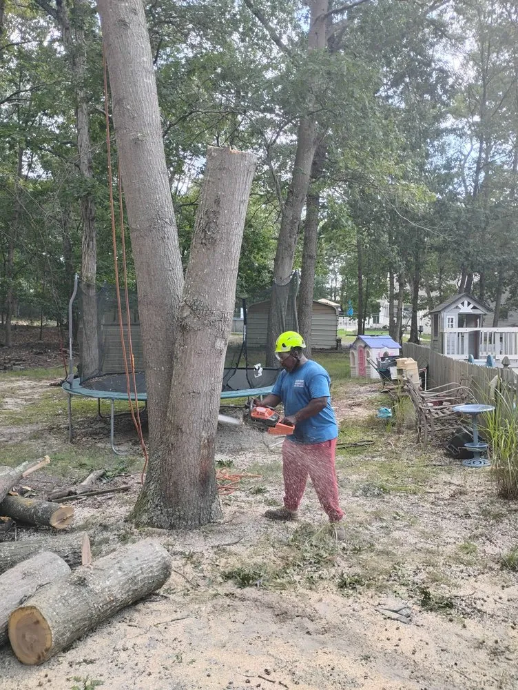 Reliable lawn care service with custom design in Barnegat, NJ by Curtis Bivins Pro Services