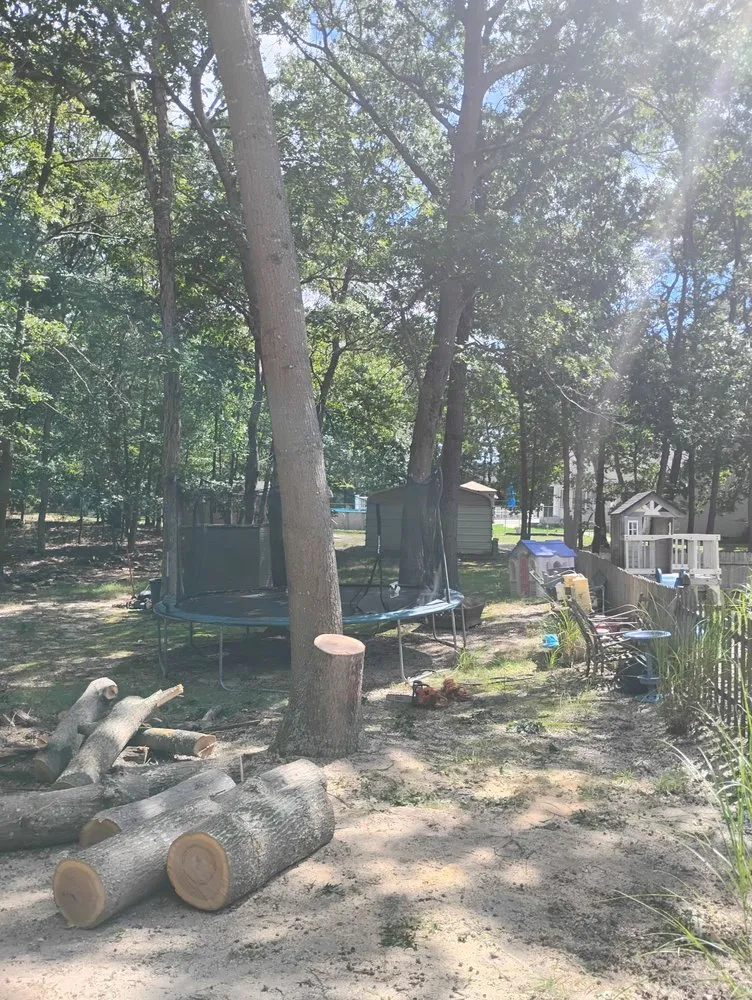 Top-rated landscape design in Barnegat, NJ - Curtis Bivins Pro Services