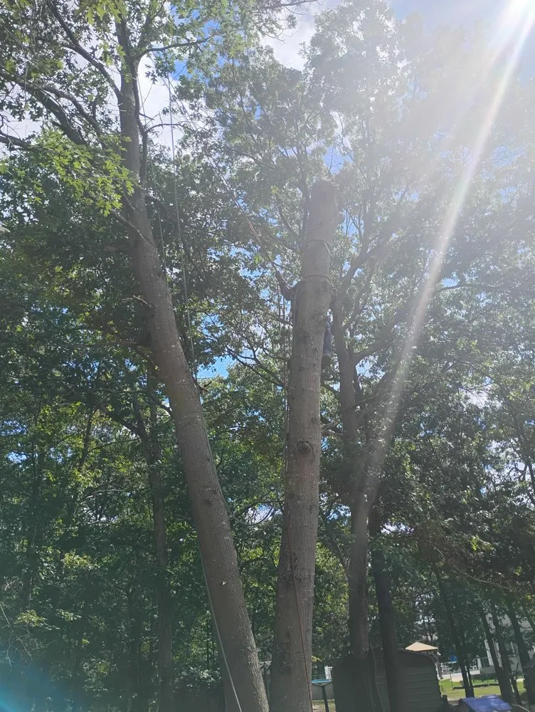 Custom lawn mowing service in Barnegat, NJ - Curtis Bivins Pro Services