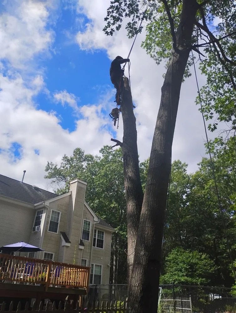 Reliable yard cleanup service near you in Barnegat, NJ by Curtis Bivins Pro Services