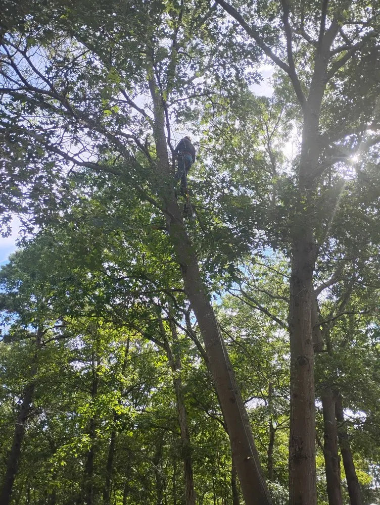 Reliable outdoor landscaping in Barnegat, NJ - Curtis Bivins Pro Services