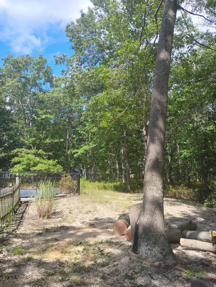 Custom lawn care service for homes across Barnegat, NJ - Curtis Bivins Pro Services