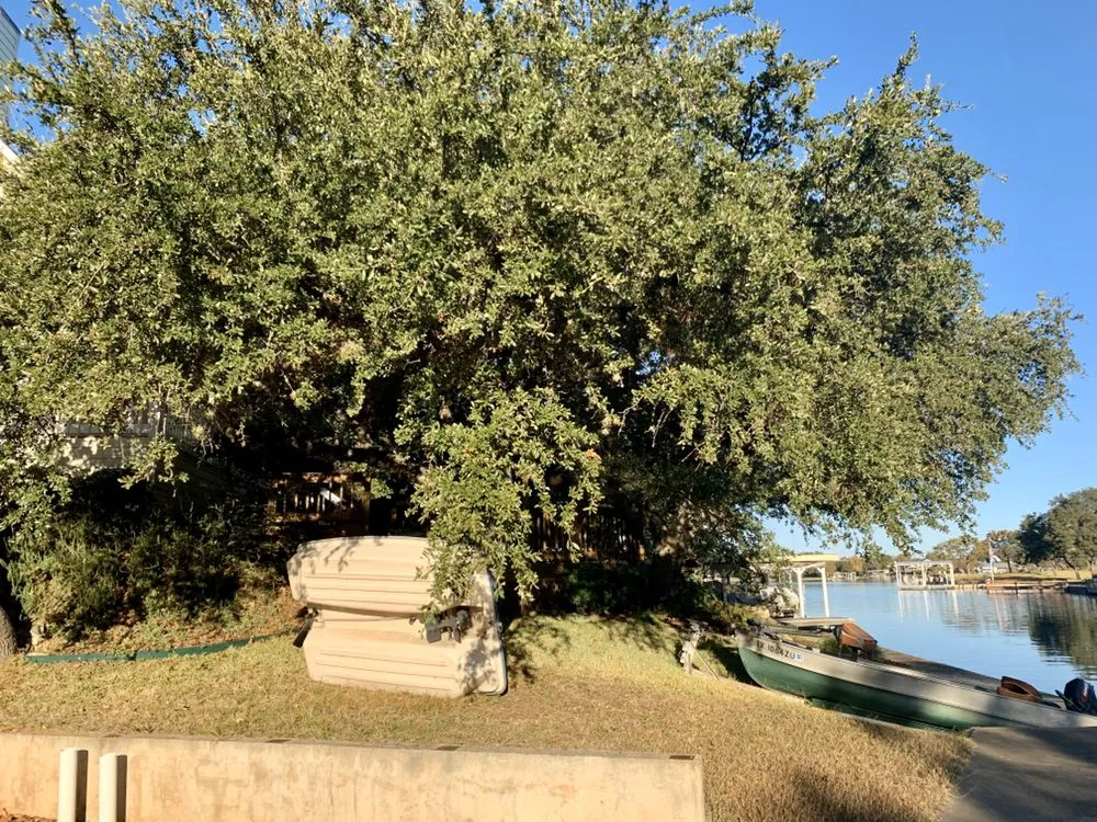 Affordable outdoor landscaping for homes in Kingsland, TX by Curtis-C Tree & Lawn Services