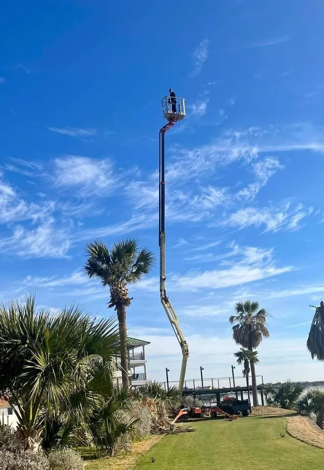 Top-rated garden landscaping in Kingsland, TX by Curtis-C Tree & Lawn Services