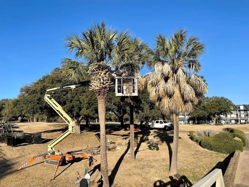 Trusted lawn care service in Kingsland, TX - Curtis-C Tree & Lawn Services