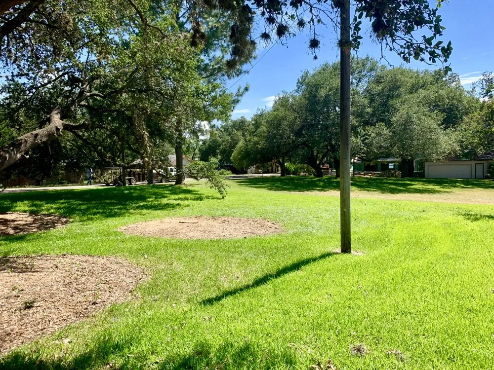 Professional landscape installation for outdoor upgrades in Kingsland, TX by Curtis-C Tree & Lawn Services