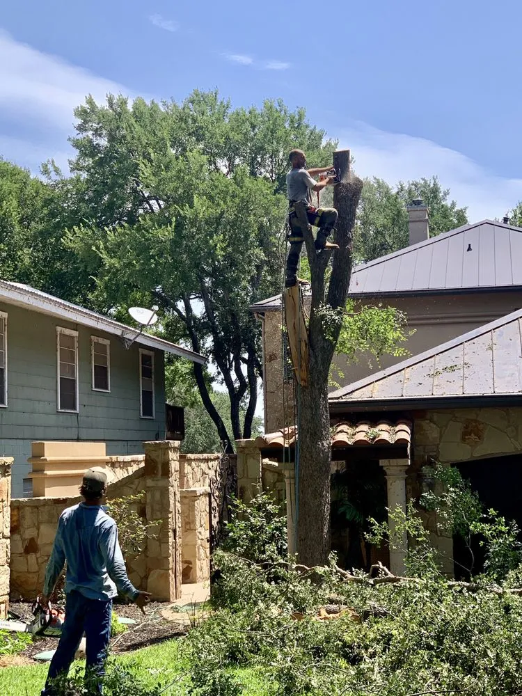 Professional garden landscaping experts serving Kingsland, TX - Curtis-C Tree & Lawn Services