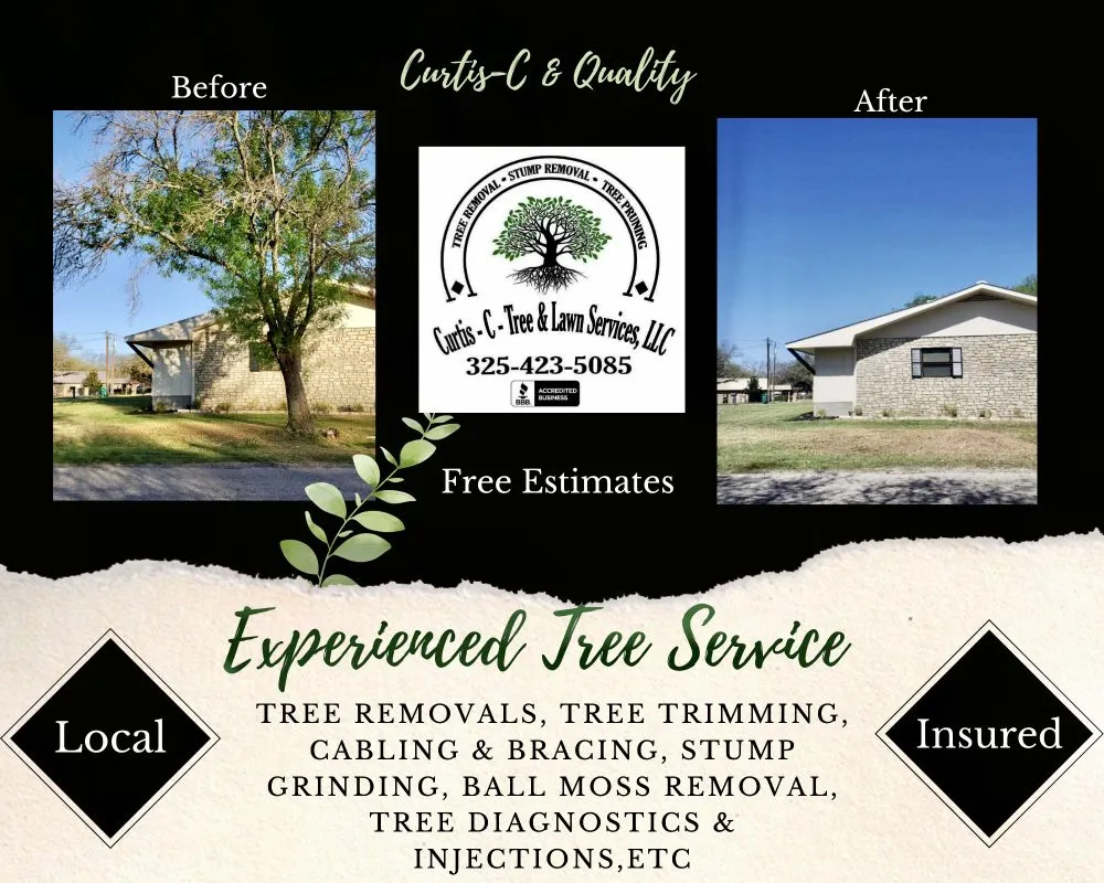 Professional landscape installation in Kingsland, TX by Curtis-C Tree & Lawn Services