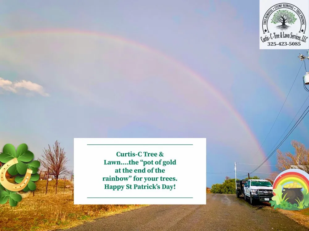 Trusted landscape design for residential properties across Kingsland, TX - Curtis-C Tree & Lawn Services