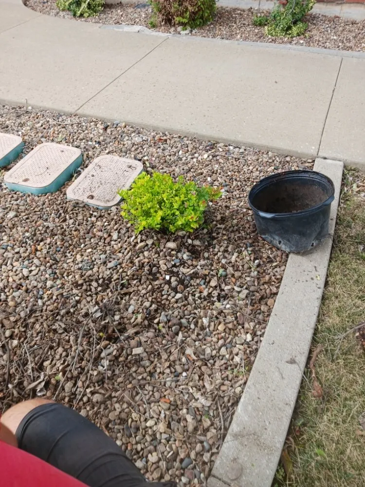 Custom landscape design for residential properties across La Plata, MO - Curtis Contracting