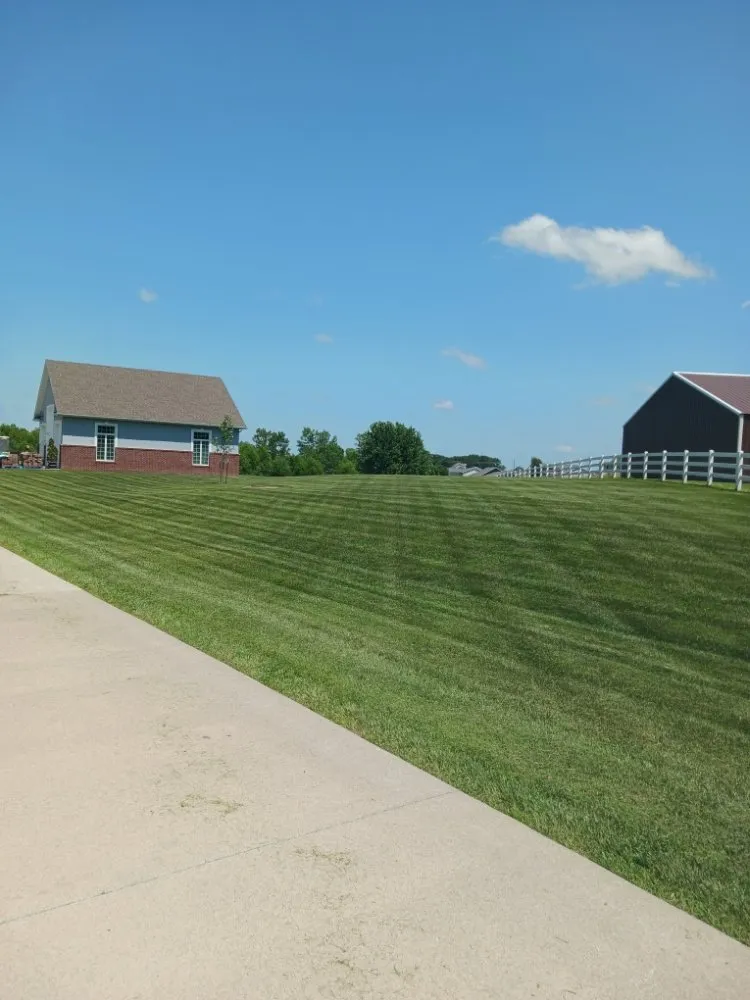 Professional yard cleanup service for year-round maintenance across La Plata, MO - Curtis Contracting