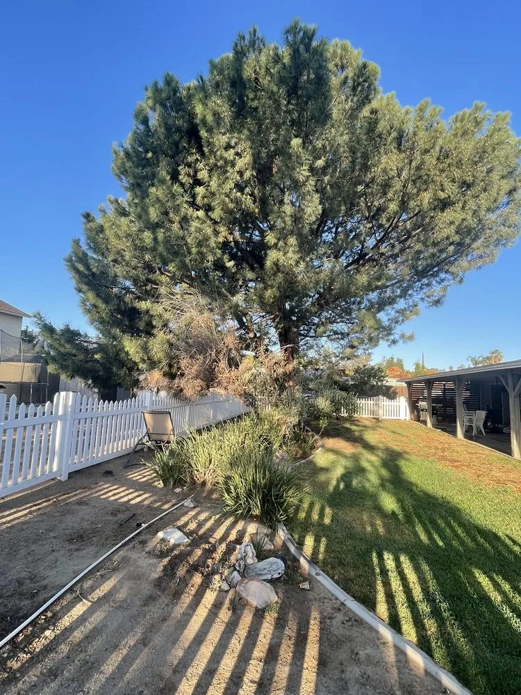 Local landscape design for beautiful yards across Winter Springs, FL - Curtis Family Renovations