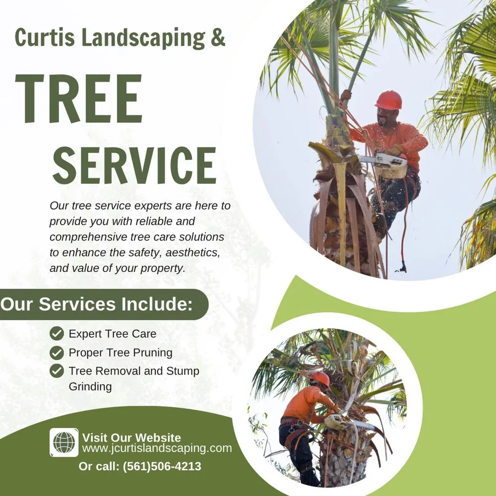 Affordable landscaping services experts serving West Palm Beach, FL - Curtis Landscaping & Tree Service