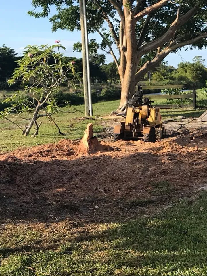 Custom landscape design for year-round maintenance in West Palm Beach, FL by Curtis Landscaping & Tree Service
