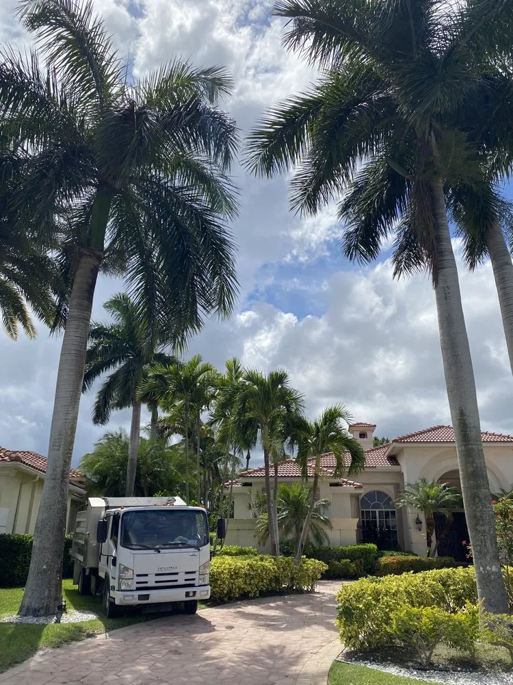 Professional landscaping services in West Palm Beach, FL - Curtis Landscaping & Tree Service