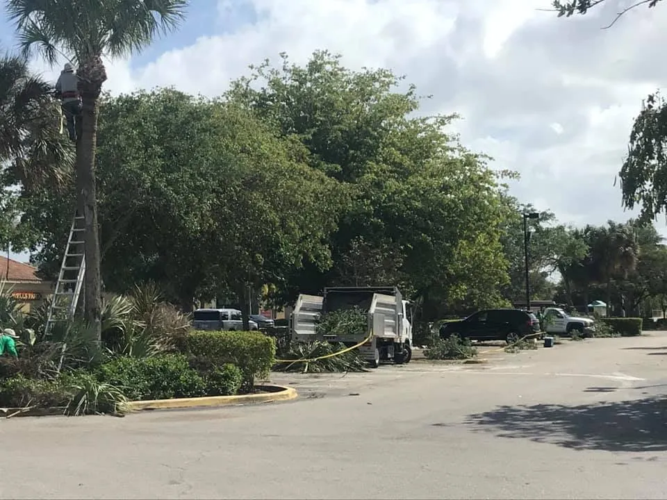 Expert garden landscaping for residential properties across West Palm Beach, FL - Curtis Landscaping & Tree Service