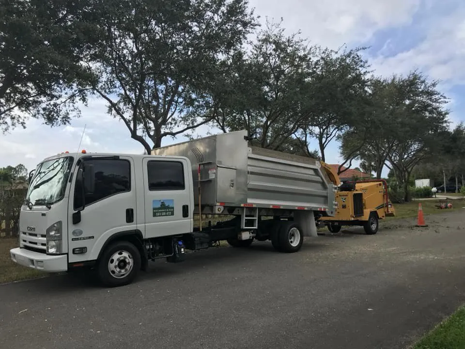 Reliable yard cleanup service for beautiful yards in West Palm Beach, FL by Curtis Landscaping & Tree Service