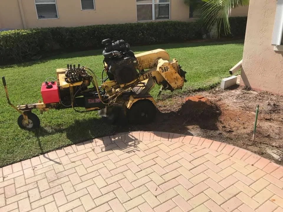 Trusted lawn mowing service for residential properties across West Palm Beach, FL - Curtis Landscaping & Tree Service