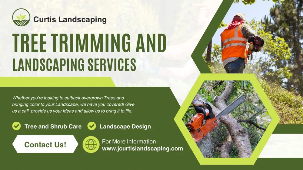 Top-rated outdoor landscaping experts serving West Palm Beach, FL - Curtis Landscaping & Tree Service