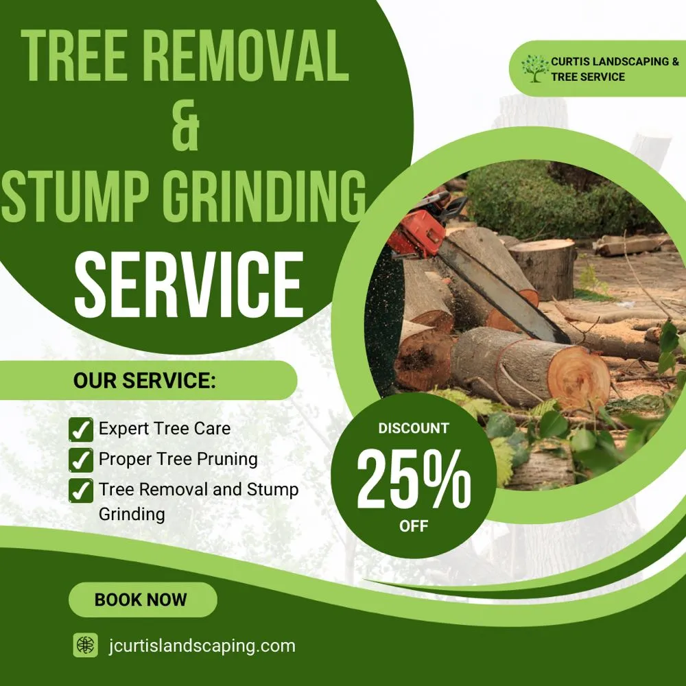 Trusted yard maintenance for outdoor upgrades in West Palm Beach, FL by Curtis Landscaping & Tree Service